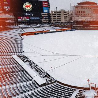 2023 Detroit Tigers wallpaper