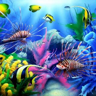 Fish ultra HD wallpaper