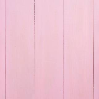 Pink spring flowers HD wallpaper