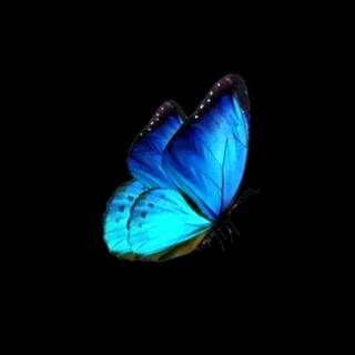 Blue profile wallpaper