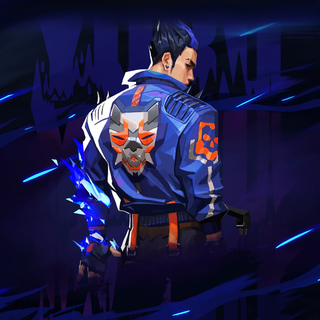 Valorant player card wallpaper