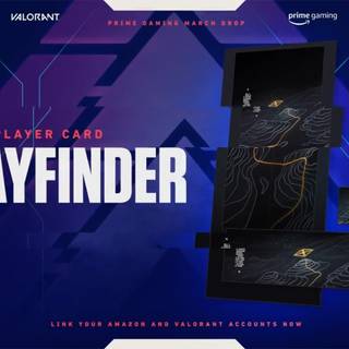 Valorant player card wallpaper