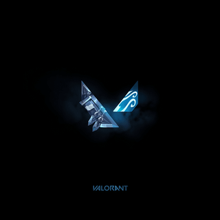 Valorant player card wallpaper