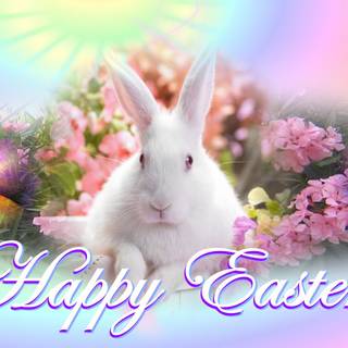 Happy Easter vibes wallpaper