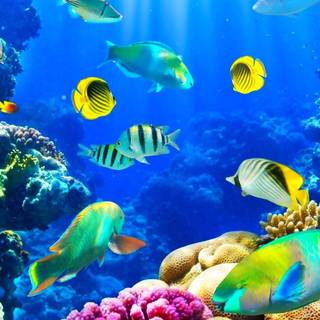 3D ocean wallpaper