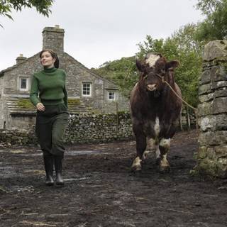 All Creatures Great and Small wallpaper