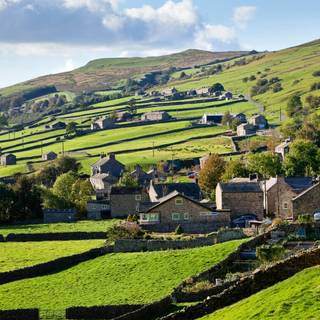 All Creatures Great and Small wallpaper