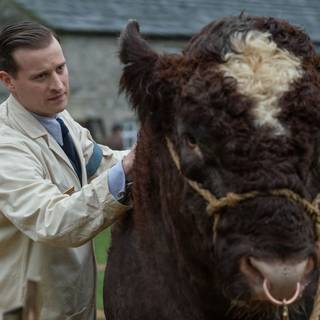 All Creatures Great and Small wallpaper