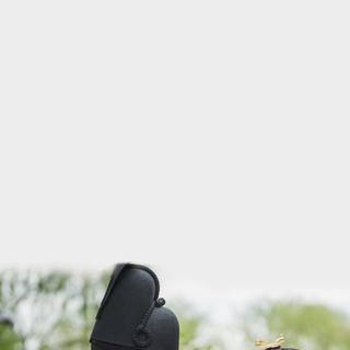 Mr Queen Kdrama wallpaper