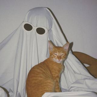 Ghost PFP wallpaper