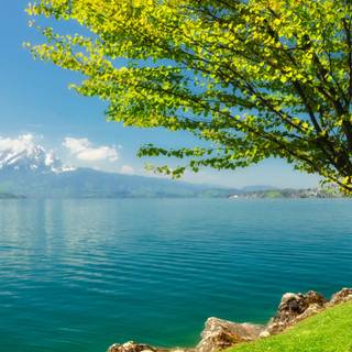 Pretty spring scenery wallpaper