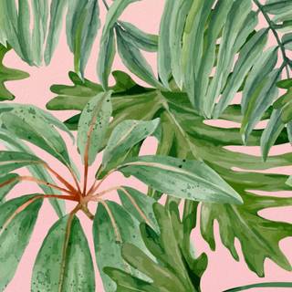 Plants summer wallpaper