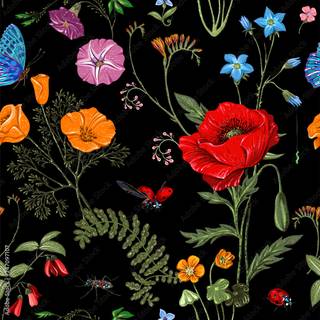 Plants summer wallpaper