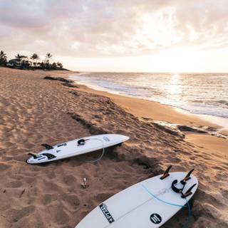 Surfer summer wallpaper