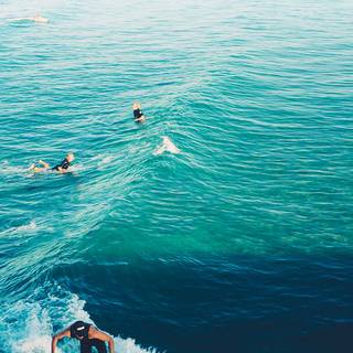 Surfer summer wallpaper