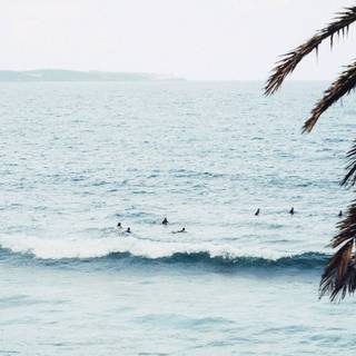 Surfer summer wallpaper