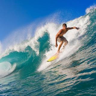 Surfer summer wallpaper