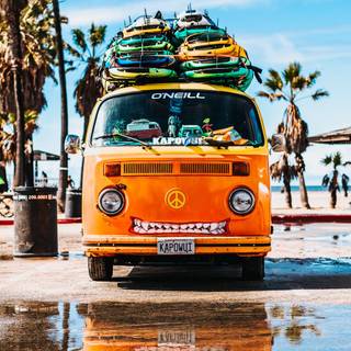 Surfer summer wallpaper