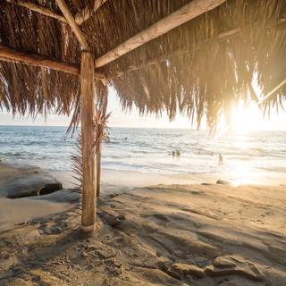 Surfer summer wallpaper