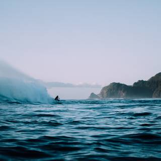 Surfer summer wallpaper