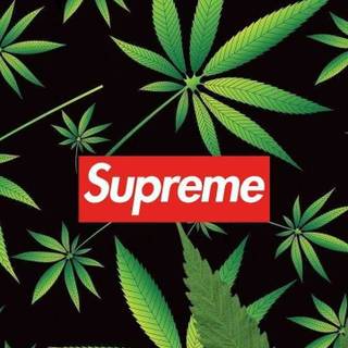 Weed logo wallpaper