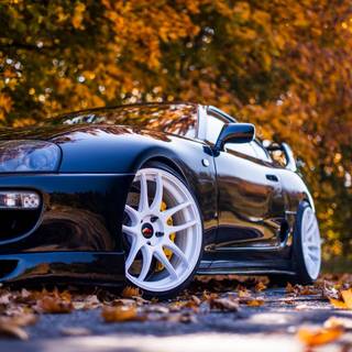 Supra autumn wallpaper