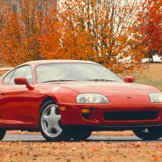 Supra autumn wallpaper