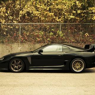 Supra autumn wallpaper