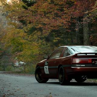 Supra autumn wallpaper
