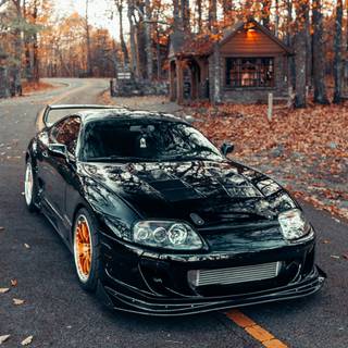 Supra autumn wallpaper