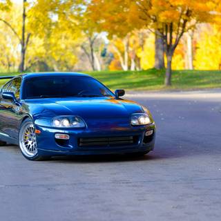 Supra autumn wallpaper