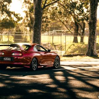 Supra autumn wallpaper