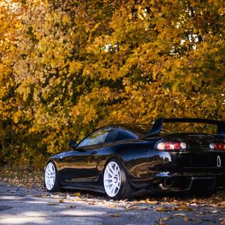 Supra autumn wallpaper