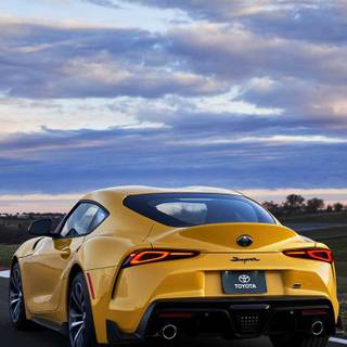 Supra autumn wallpaper