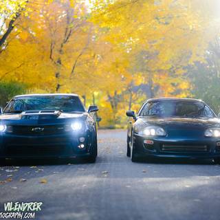 Supra autumn wallpaper