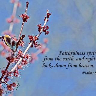 Laptop spring Bible verses wallpaper