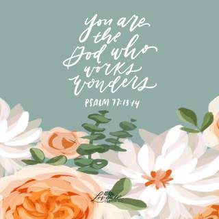 Laptop spring Bible verses wallpaper