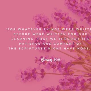 Laptop spring Bible verses wallpaper