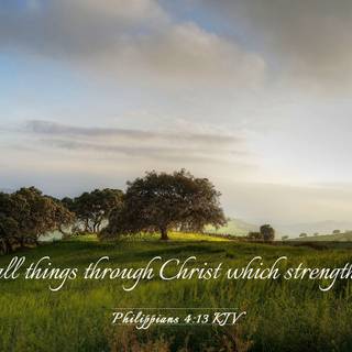 Laptop spring Bible verses wallpaper