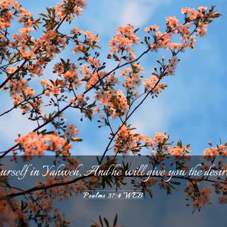 Laptop spring Bible verses wallpaper