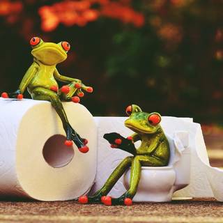 Spring frogs wallpaper