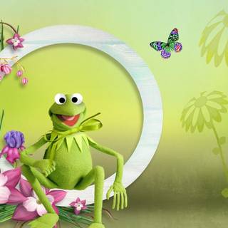 Spring frogs wallpaper