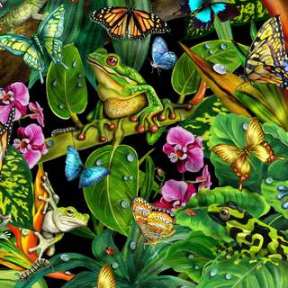 Spring frogs wallpaper