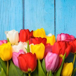 Colored spring wallpaper