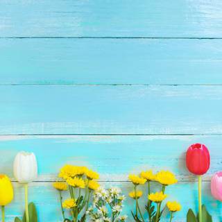 Colored spring wallpaper