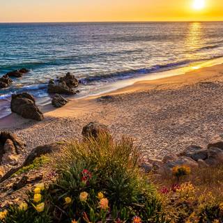 Spring and beach wallpaper