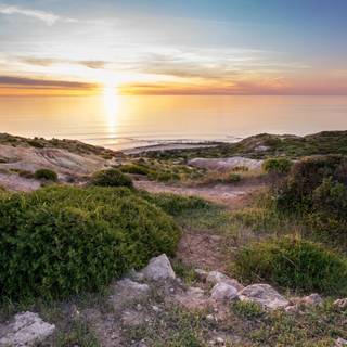 Spring and beach wallpaper