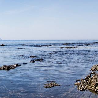 Spring and beach wallpaper