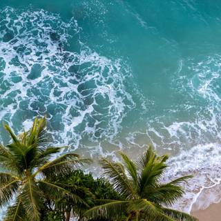 Spring and beach wallpaper