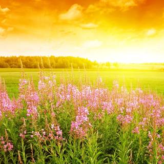 Sunrise Easter wallpaper